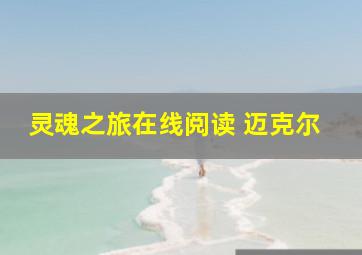 灵魂之旅在线阅读 迈克尔